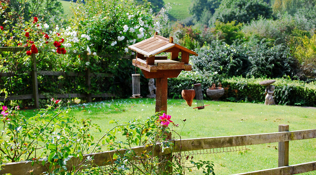 How Can Garden Decor Enhance the Beauty of Your Yard?